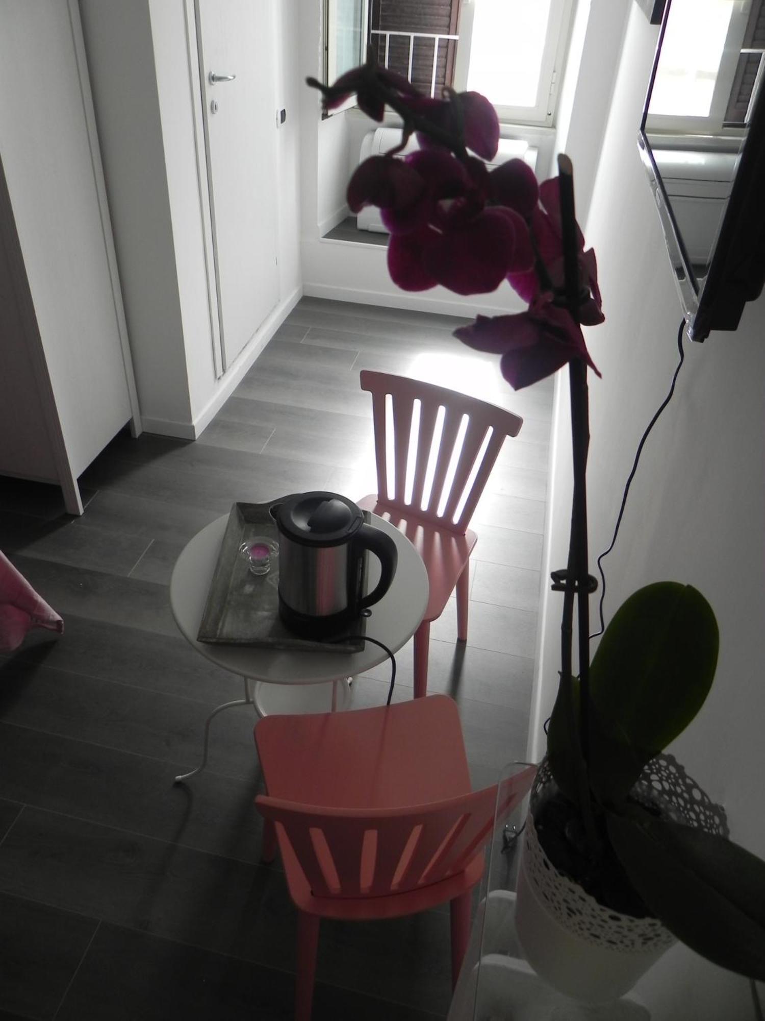 Vica Pota — Foto’s 3